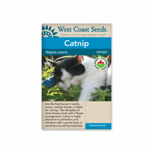 Catnip Organic Certified