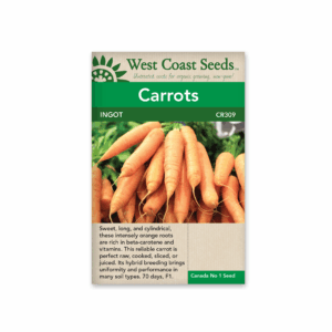 Carrots Ingot F1