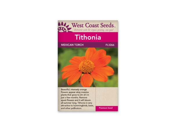 Tithonia Mexican Torch