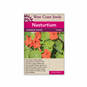 Nasturtiums Glorious Gleam