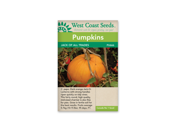 Pumpkins Jack of All Trades