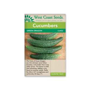 Cucumbers Green Dragon (F1)
