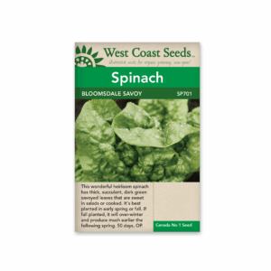 Spinach Bloomsdale Savoy