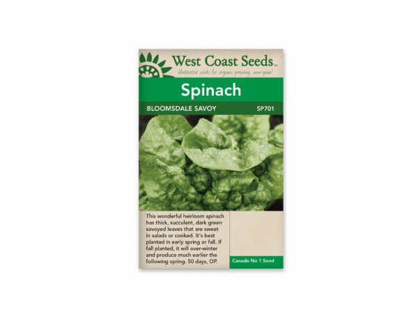 Spinach Bloomsdale Savoy