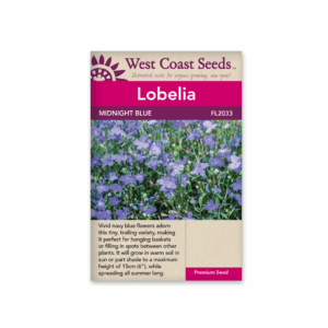 Lobelia Midnight Blue