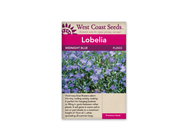 Lobelia Midnight Blue