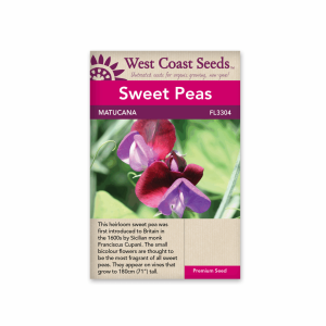 Sweet Peas Matucana