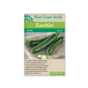 Squash Raven F1 (10sds)