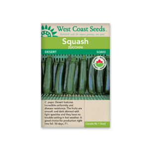 Squash Desert F1 Certified Organic