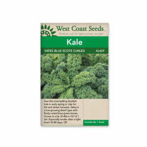 Kale Vates Blue Curled Scotch