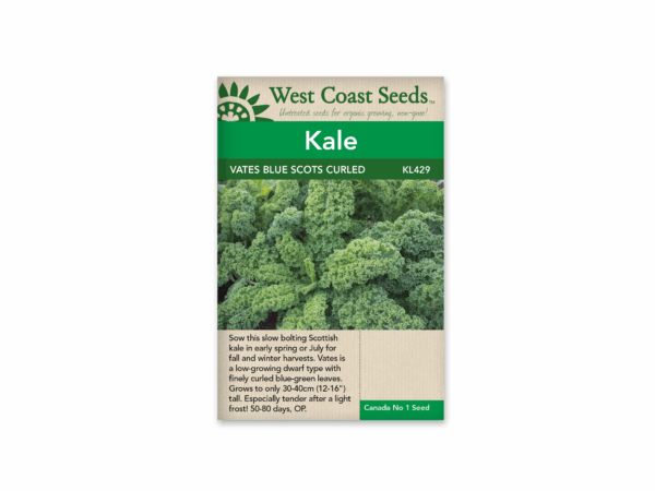 Kale Vates Blue Curled Scotch