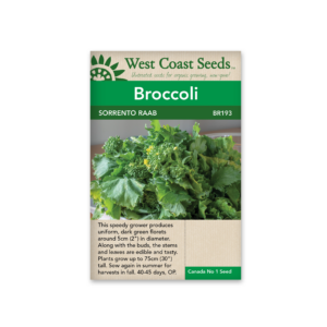 Broccoli Sorrento