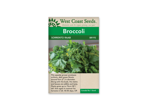 Broccoli Sorrento