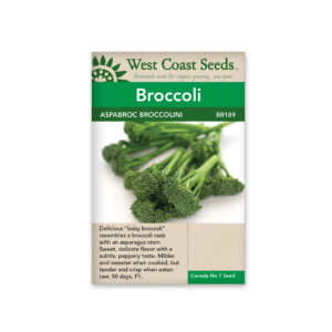 Brocolli Aspabroc F1 (brocollini)(25 Seeds)