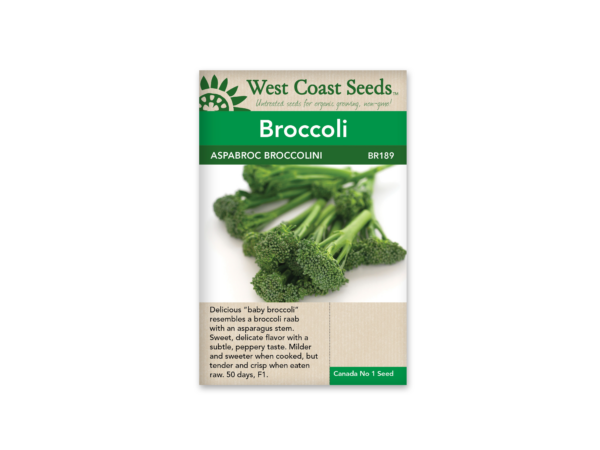 Brocolli Aspabroc F1 (brocollini)(25 Seeds)