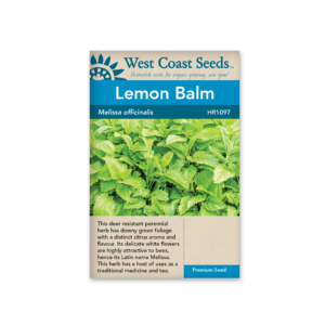 Lemon Balm