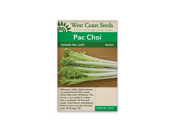 Pac Choi Taiwan