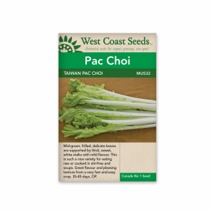 Pac Choi Taiwan