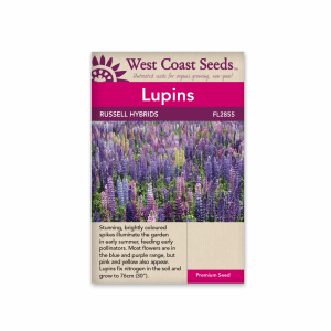 Lupins Russell Hybrids