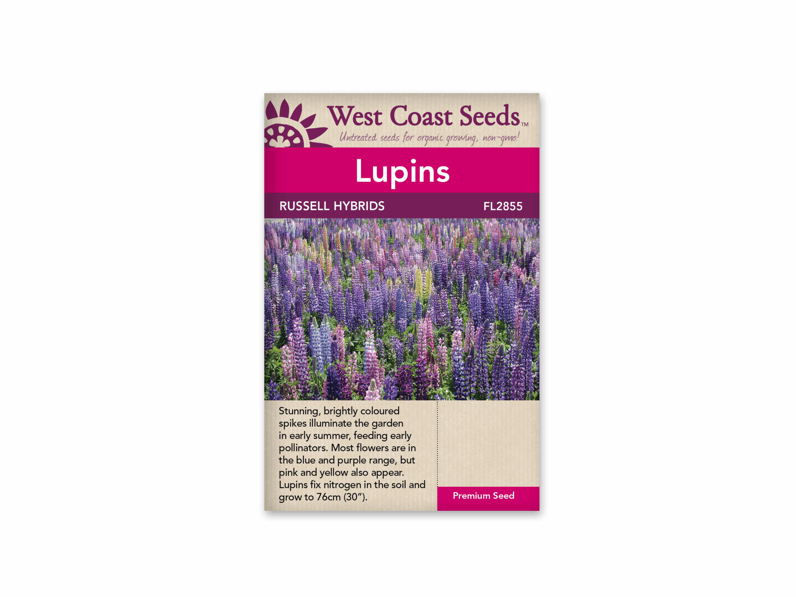 Lupins Russell Hybrids