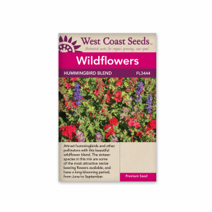 Wildflowers Hummingbird Blend