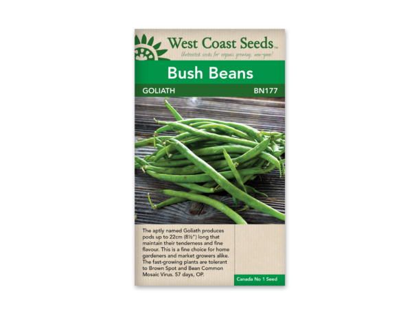 Beans Goliath (50 seeds)
