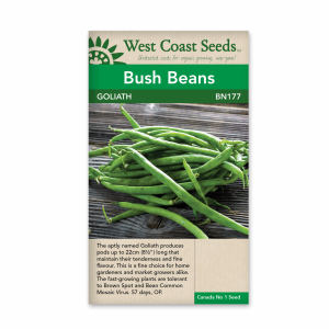 Beans Goliath (50 seeds)