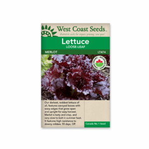 Lettuce Merlot Organic Certified