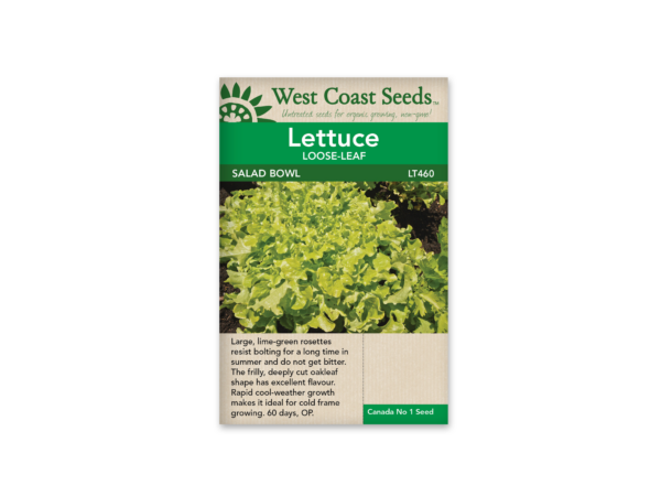 Lettuce Salad Bowl - Green
