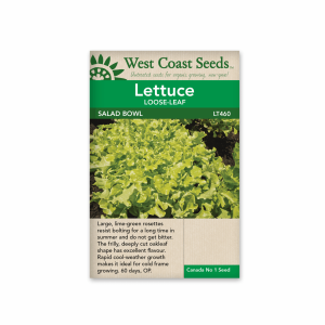 Lettuce Salad Bowl - Green