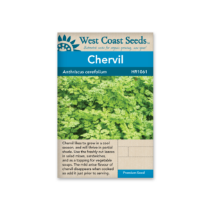 Chervil