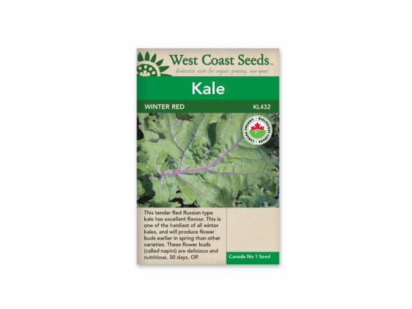 Kale Winter Red Organic Certified