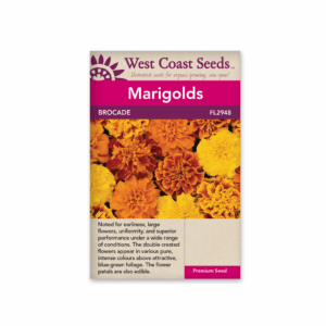 Marigolds Brocade