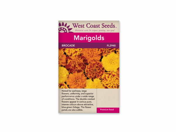 Marigolds Brocade