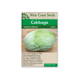 Cabbage Taiwan Cabbage F1