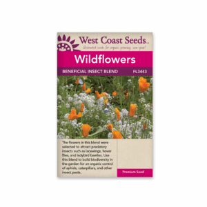 Wildfowers Beneficial Insect Blend