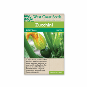 Squash Eight Ball F1