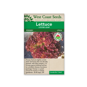 Lettuce Fossey Eazy Leaf Organic Certified