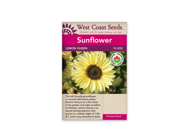Sunflowers Lemon Queen Organic Certified