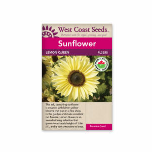 Sunflowers Lemon Queen Organic Certified