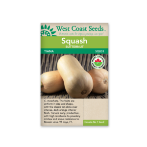 Squash Tiana F1 Certified Organic(10 seeds)