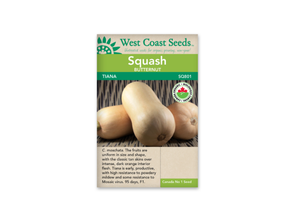 Squash Tiana F1 Certified Organic(10 seeds)
