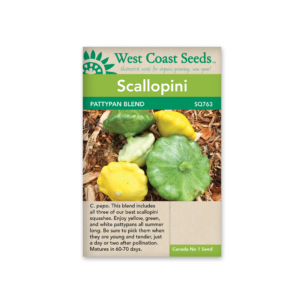 Squash Patty Pan Blend