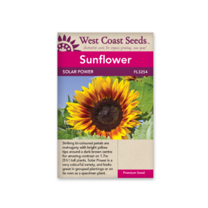 Sunflowers Solar Power