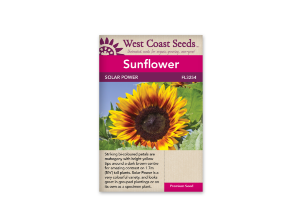Sunflowers Solar Power