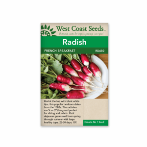 Radishes Red French Breakfast