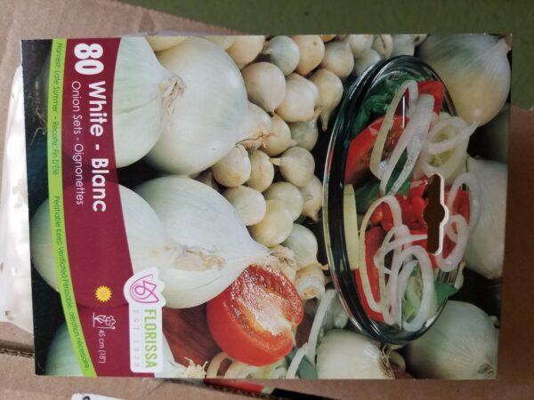 White Onion