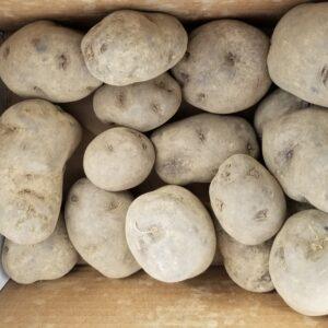 Russian Blue Potato