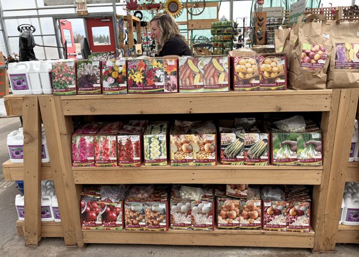 Annuals - Assorted Bulbs